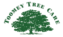 Toomey Tree Care Logo