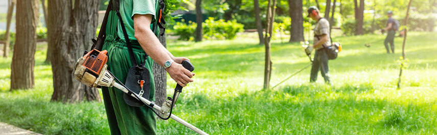 Tree Services